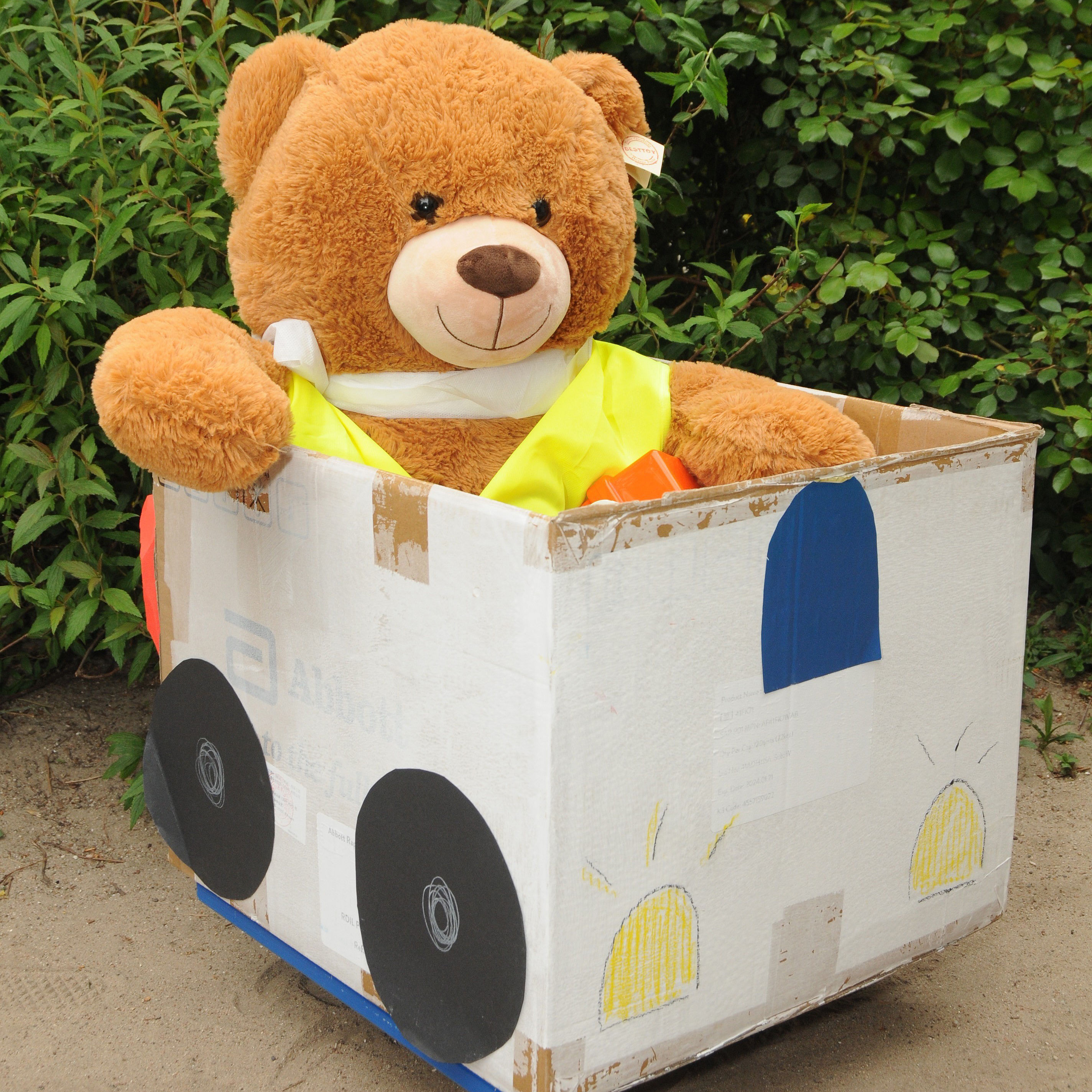 Teddy im Karton