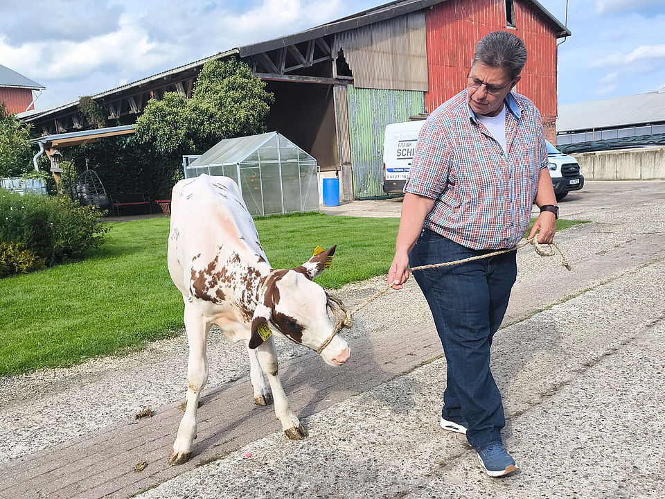 Bauernhof Unsere Leitung Bettina Bonert führt ein Kalb