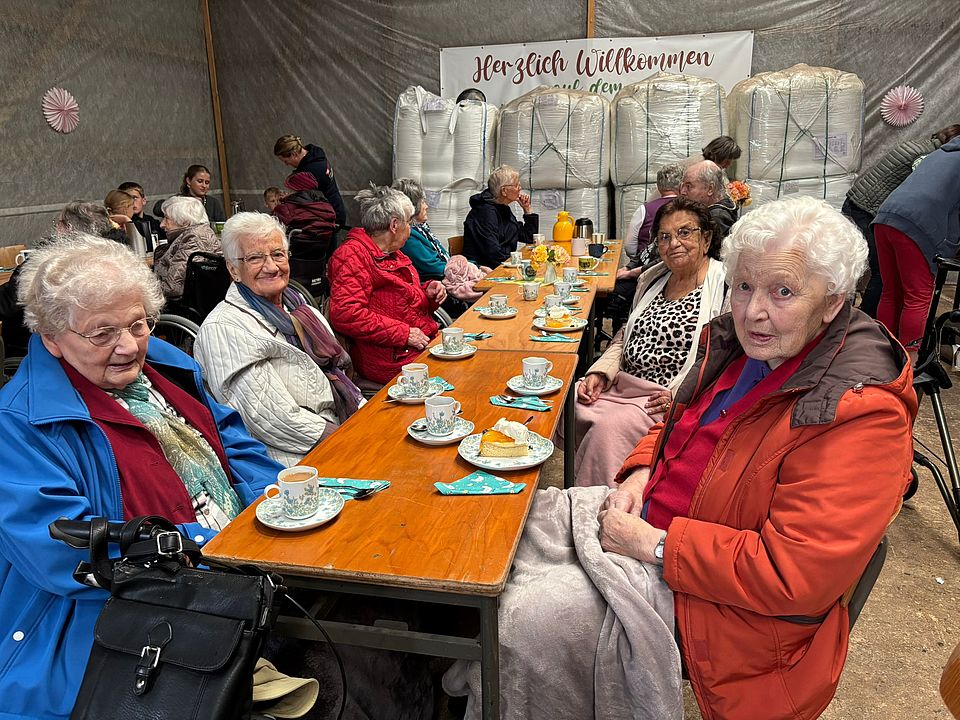 SeniorInnen gemeinsam am Tisch