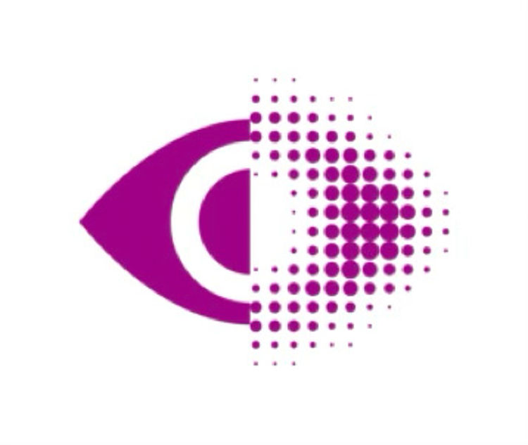 Blinden- und Sehbehindertenverein Schlewig-Holstein e.V. Logo des Blinden- und Sehbehindertenverein Schlewig-Holstein e.V.